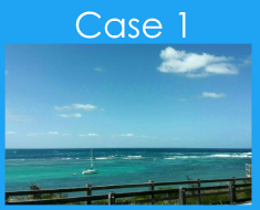 wh_case1